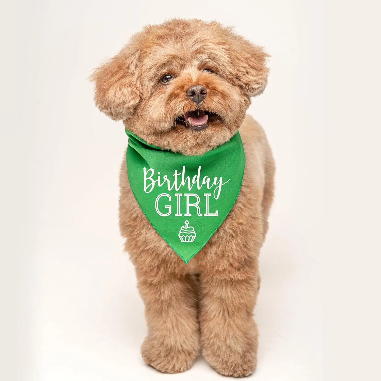 Birthday Girl with Cupcake Dog Pawdy Celebration Printed Dog Bandana (Pink OS 215)
